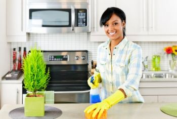 House Cleaning by Little Bud's Suds